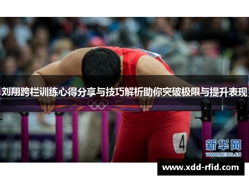 刘翔跨栏训练心得分享与技巧解析助你突破极限与提升表现