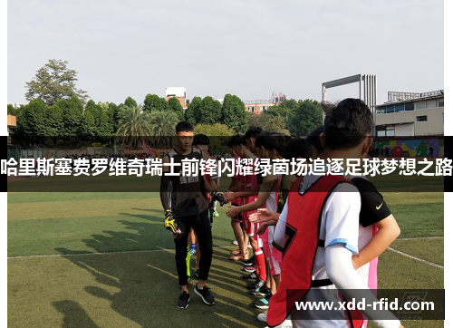 哈里斯塞费罗维奇瑞士前锋闪耀绿茵场追逐足球梦想之路
