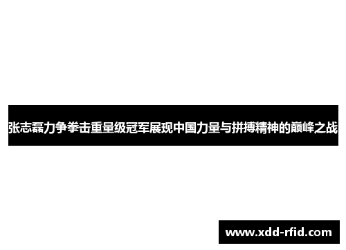 张志磊力争拳击重量级冠军展现中国力量与拼搏精神的巅峰之战