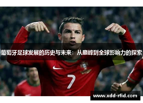 葡萄牙足球发展的历史与未来：从巅峰到全球影响力的探索