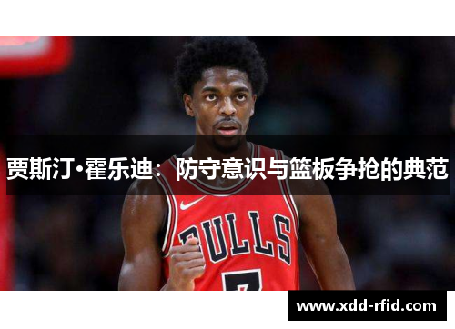 贾斯汀·霍乐迪：防守意识与篮板争抢的典范