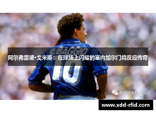 阿尔弗雷德·戈米斯：在球场上闪耀的塞内加尔门将反应传奇