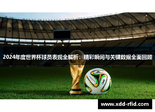 2024年度世界杯球员表现全解析：精彩瞬间与关键数据全面回顾
