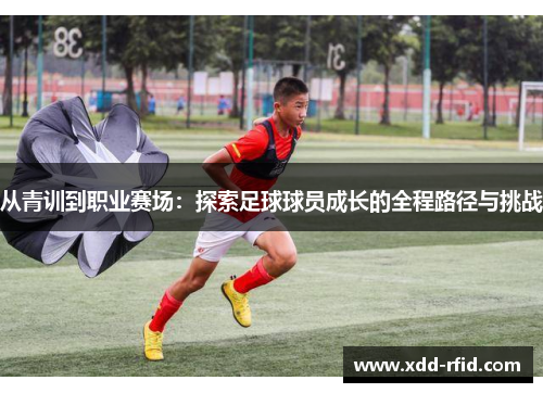 从青训到职业赛场：探索足球球员成长的全程路径与挑战