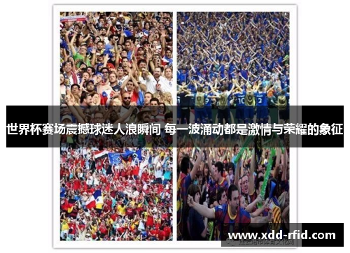 世界杯赛场震撼球迷人浪瞬间 每一波涌动都是激情与荣耀的象征