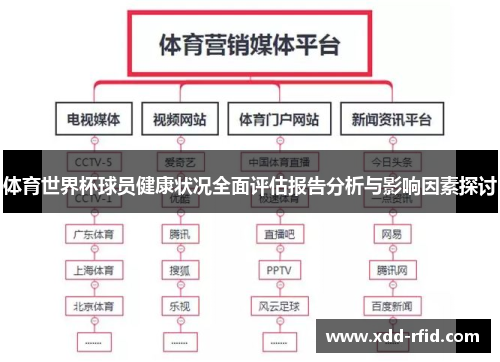 体育世界杯球员健康状况全面评估报告分析与影响因素探讨