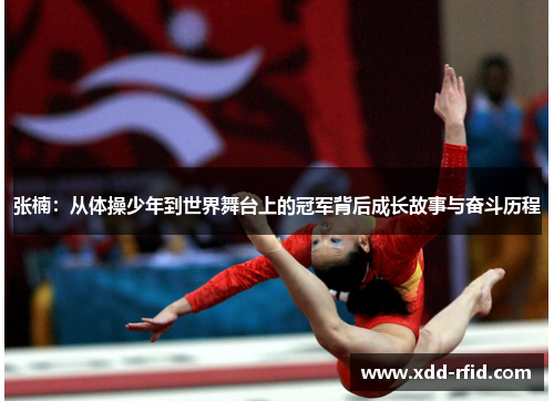 张楠：从体操少年到世界舞台上的冠军背后成长故事与奋斗历程