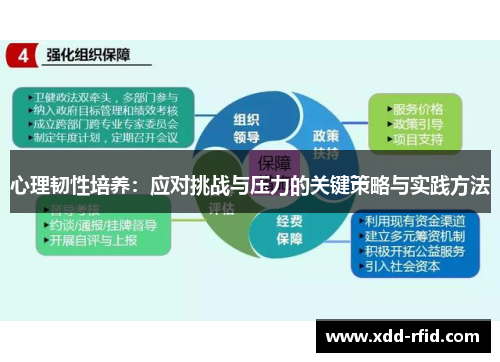 心理韧性培养：应对挑战与压力的关键策略与实践方法