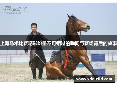 上海马术比赛精彩纷呈不可错过的瞬间与赛场背后的故事