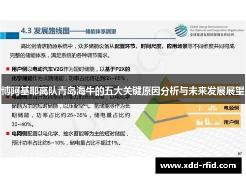 博阿基耶离队青岛海牛的五大关键原因分析与未来发展展望