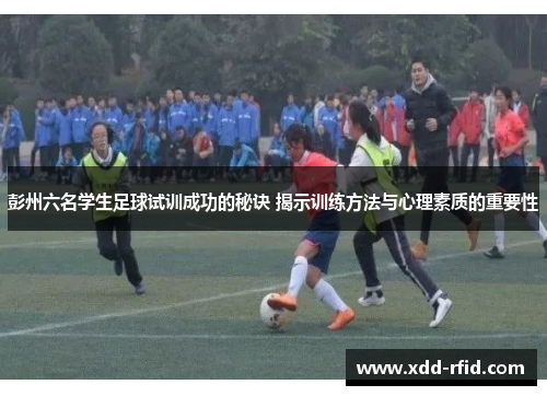 彭州六名学生足球试训成功的秘诀 揭示训练方法与心理素质的重要性