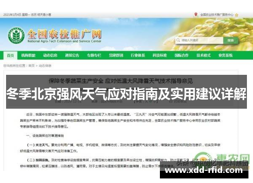 冬季北京强风天气应对指南及实用建议详解